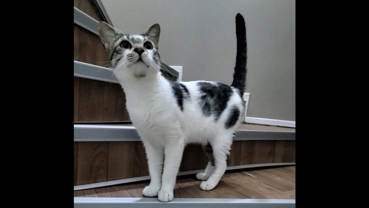 Carlos