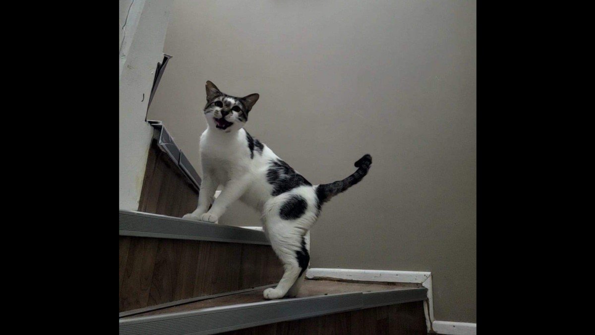 Carlos