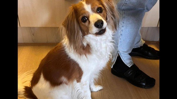 Betsie