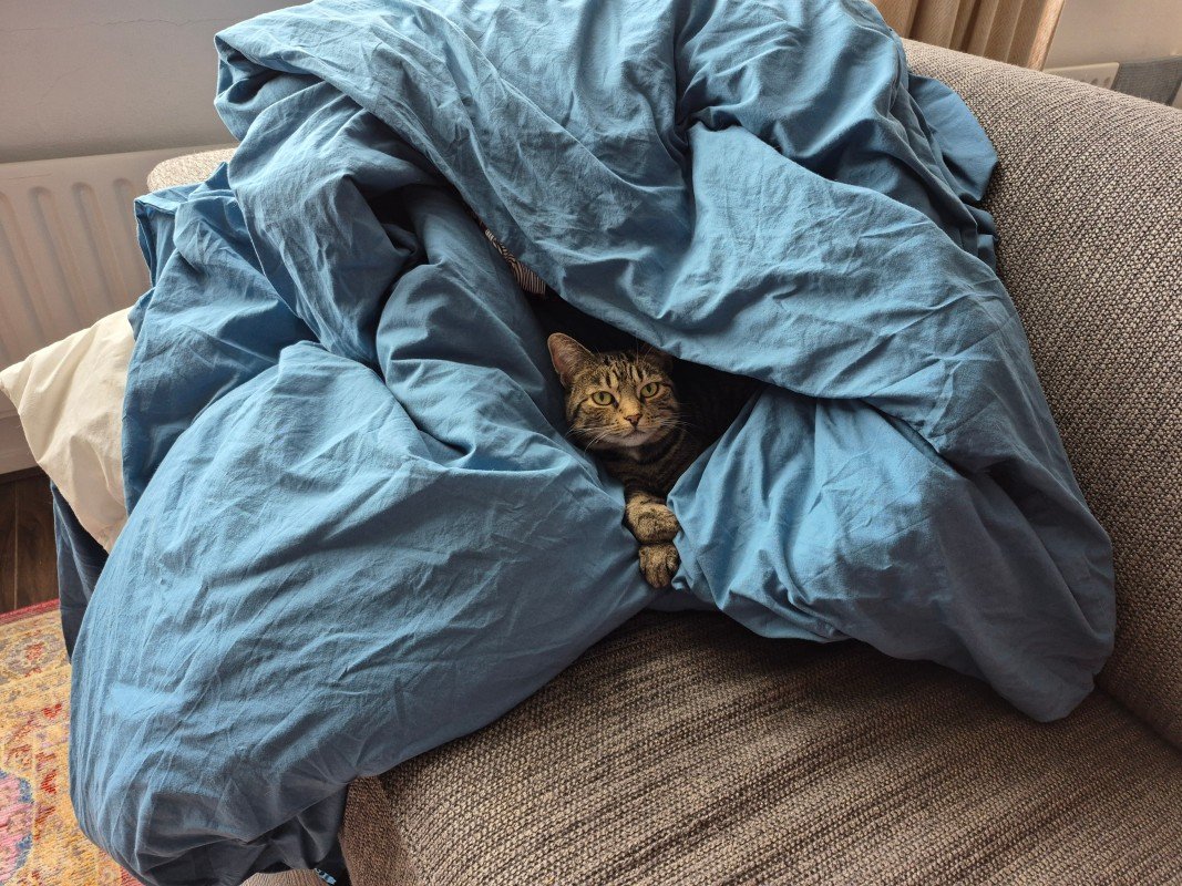 Nora