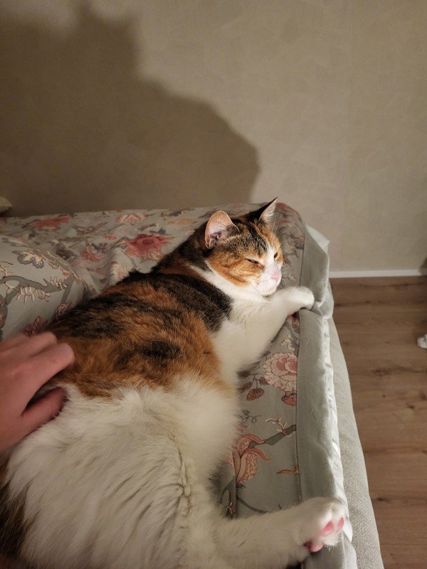 Nala
