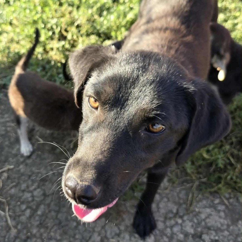 Bonnie