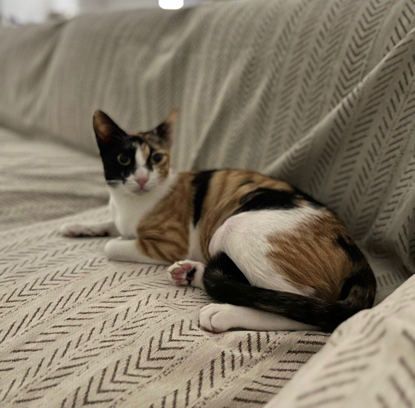 Peaches