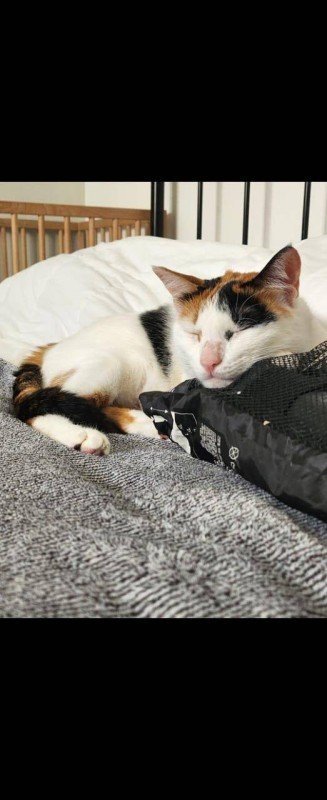 Mimi