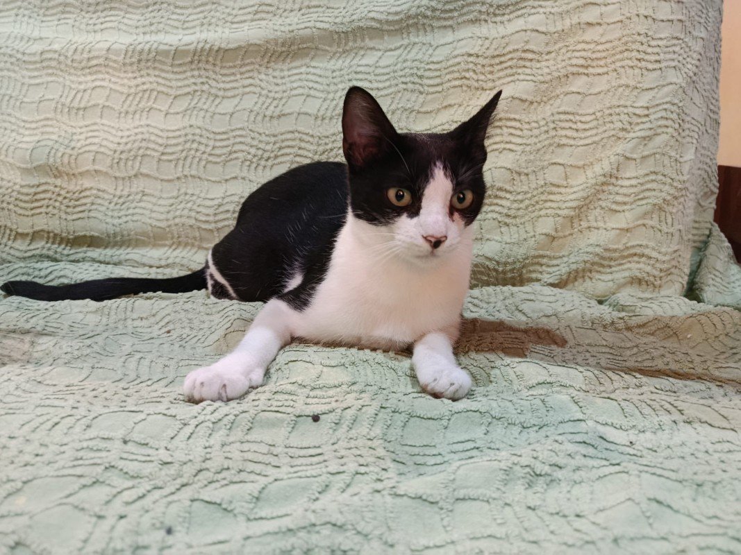 Juanita