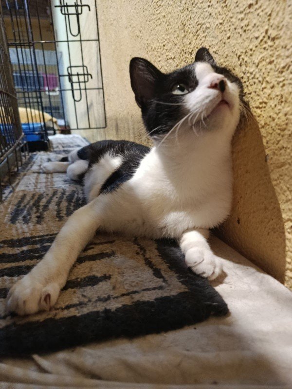 Juanita