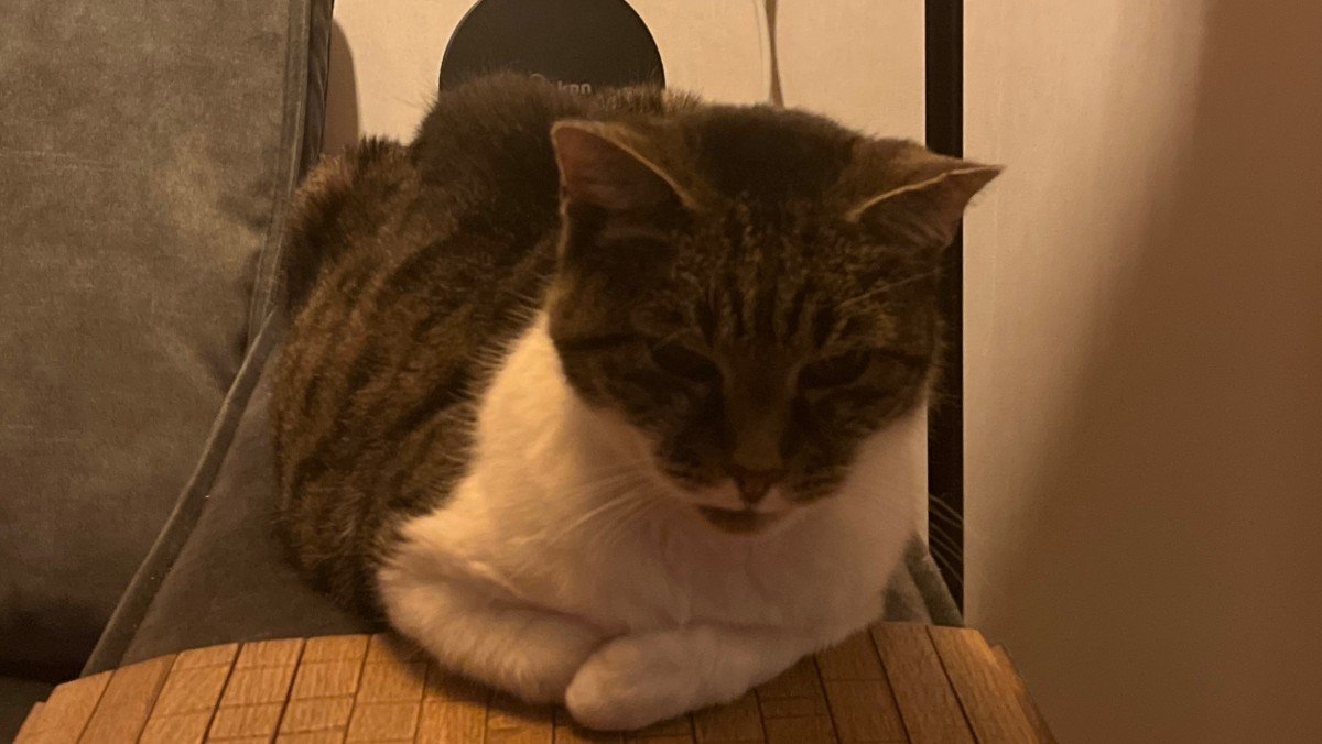 Tommie