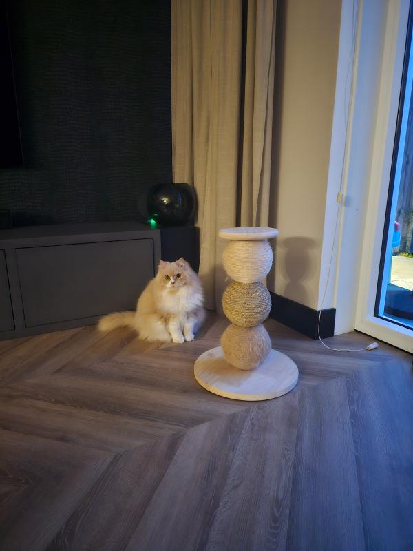 Caramel