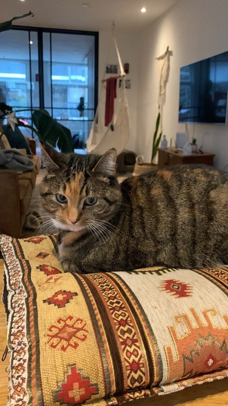 Niellie (mevr Nielson)