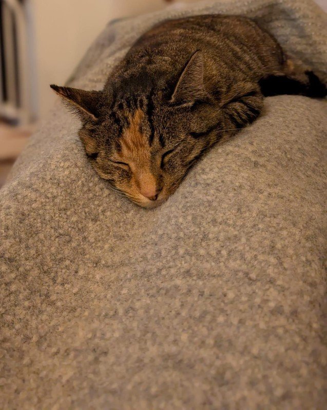 Niellie (mevr Nielson)