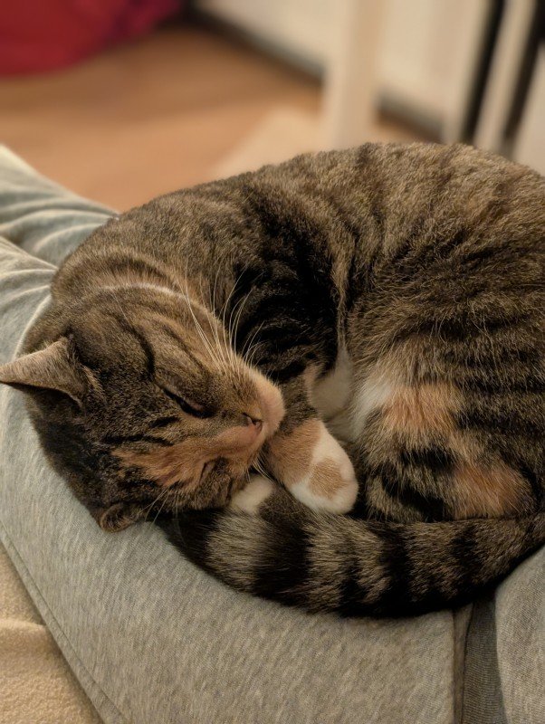 Niellie (mevr Nielson)