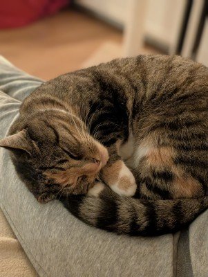 Niellie (mevr Nielson)