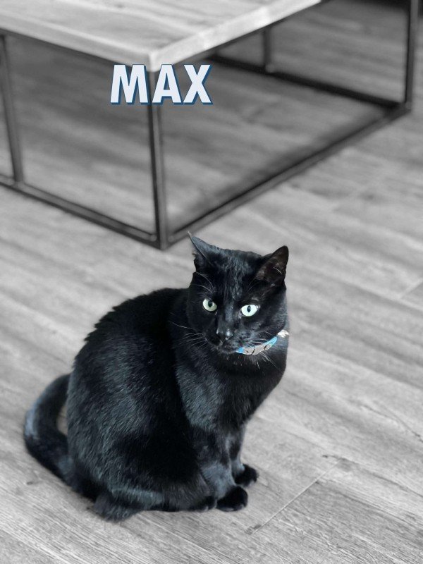 Max