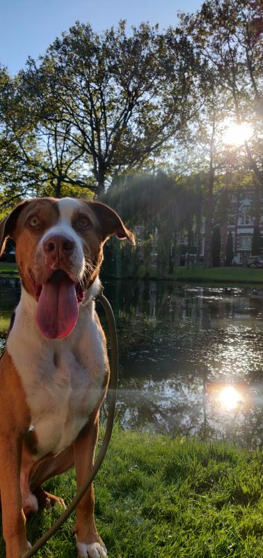 Milo