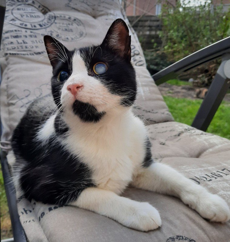 Win