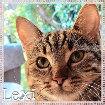 Lexi