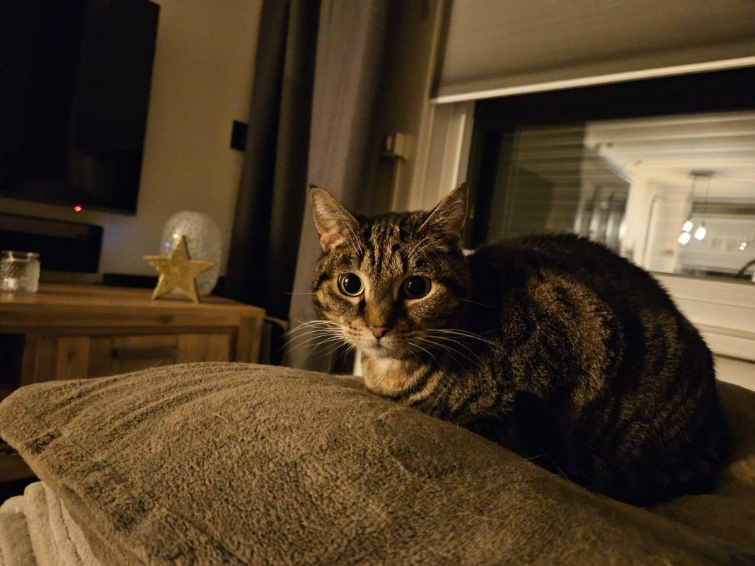 Snickers (zusje van Doedels)