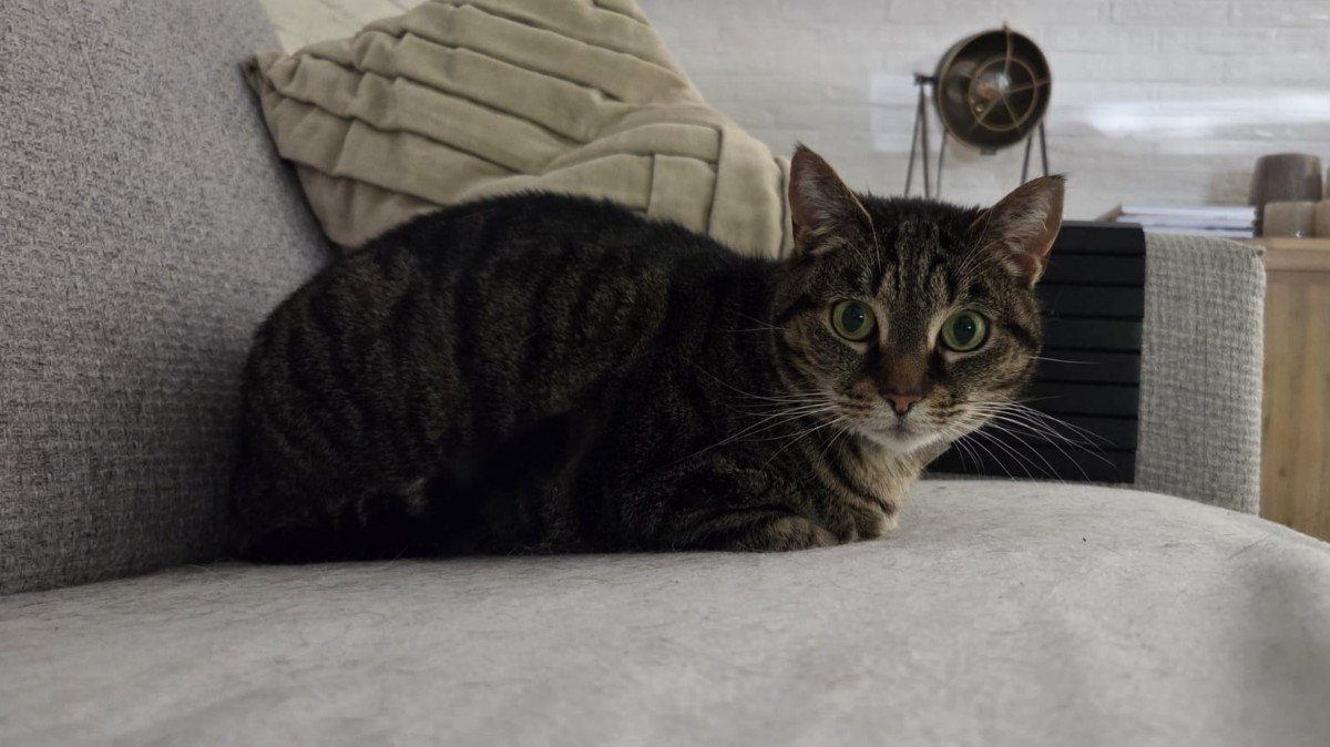 Snickers (zusje van Doedels)