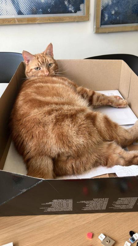 Robert de Hoog (Robbie)