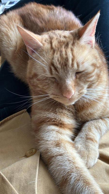 Robert de Hoog (Robbie)