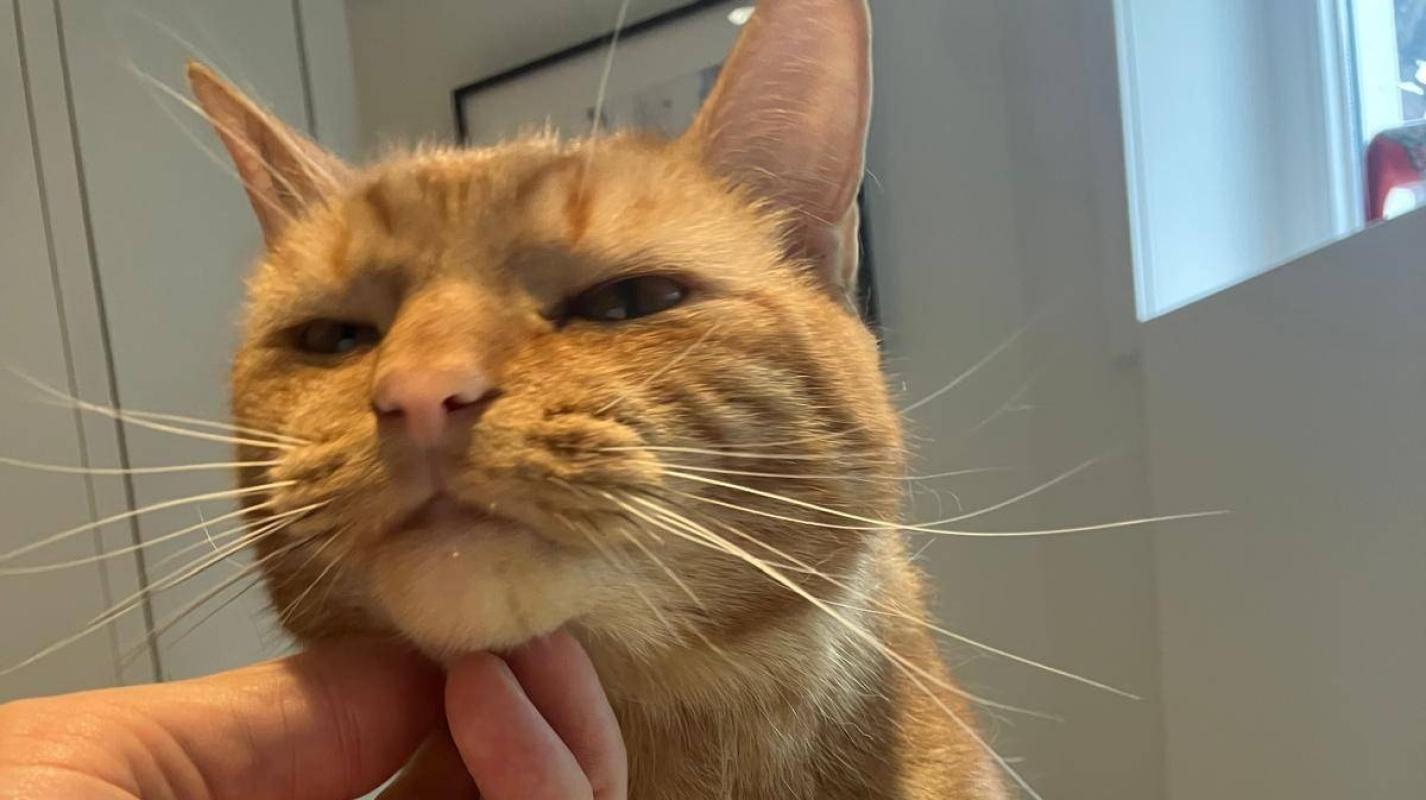 Robert de Hoog (Robbie)