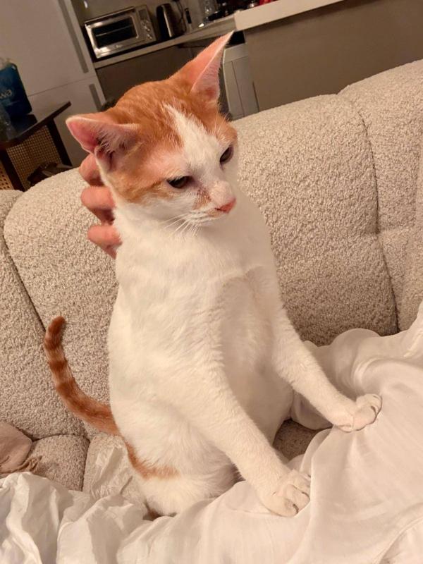 Milo