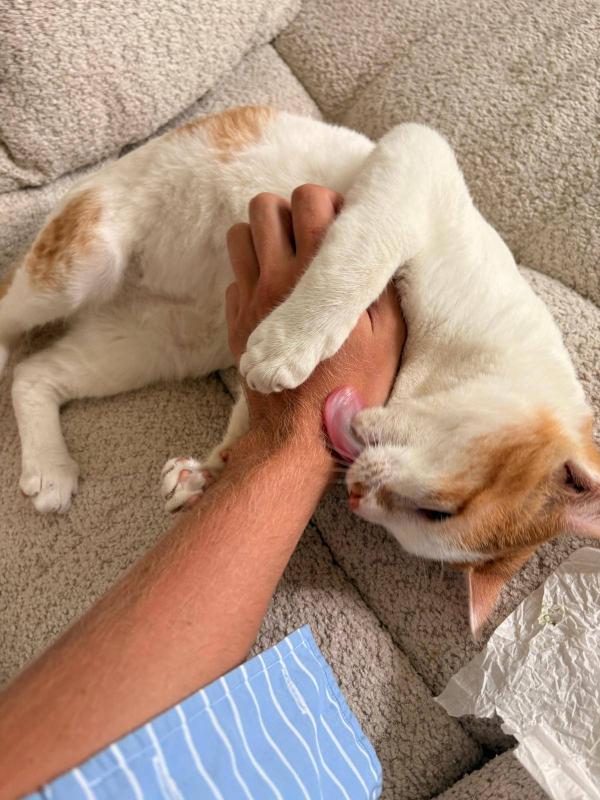 Milo