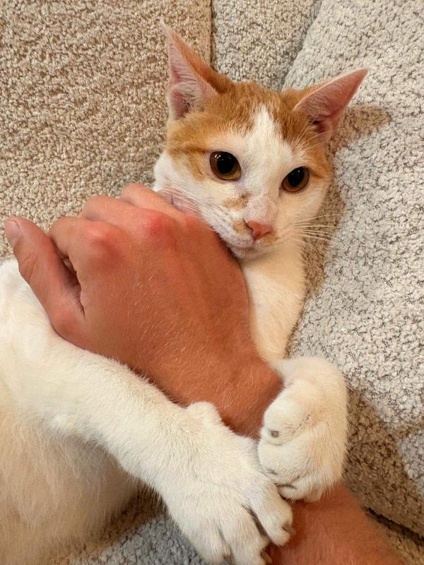 Milo