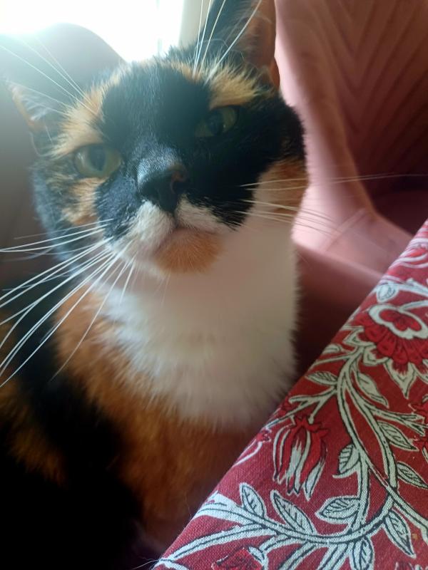Bessie