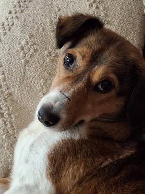 Bernadette ( Bertje )