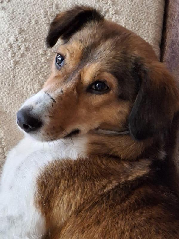 Bernadette ( Bertje )