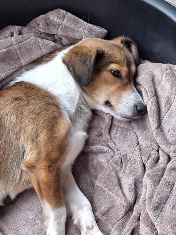 Bernadette ( Bertje )