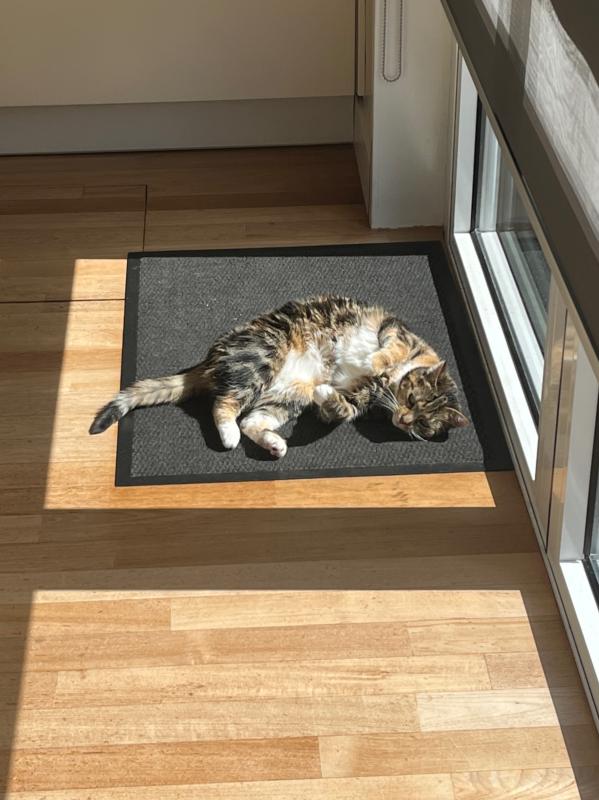 Lua
