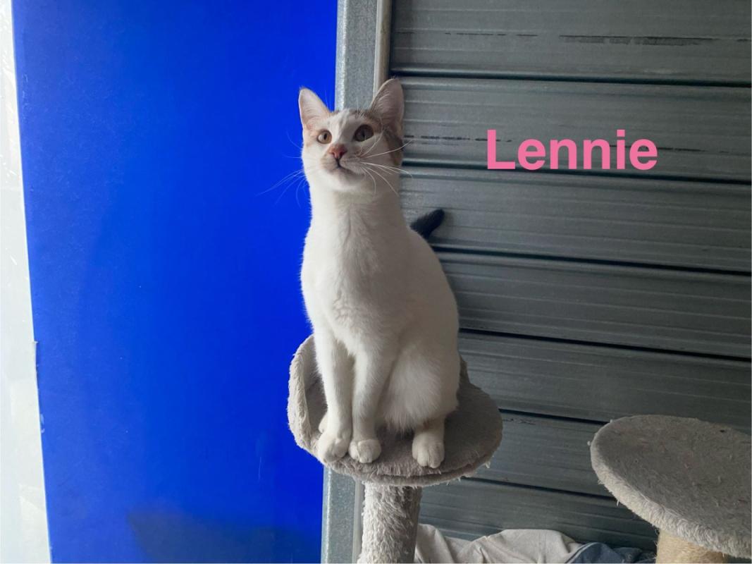 Lennie
