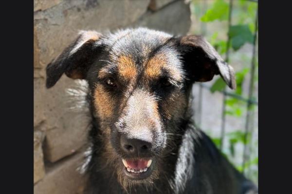 Zoe