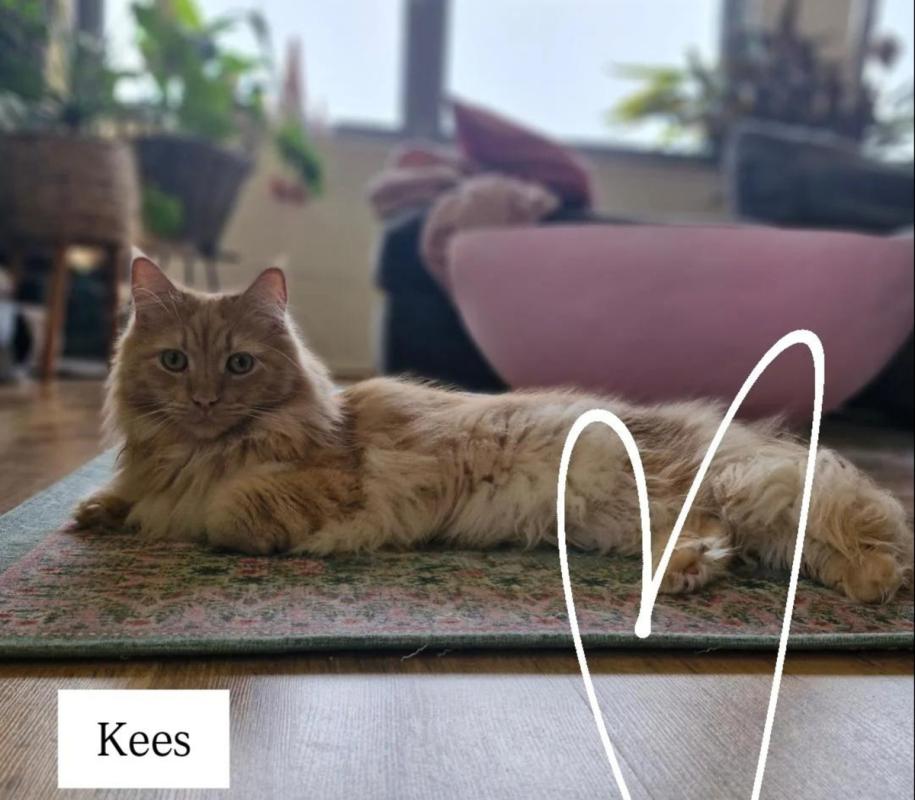 Kees