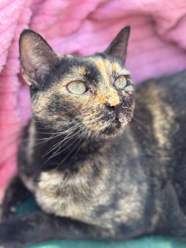 Sasha