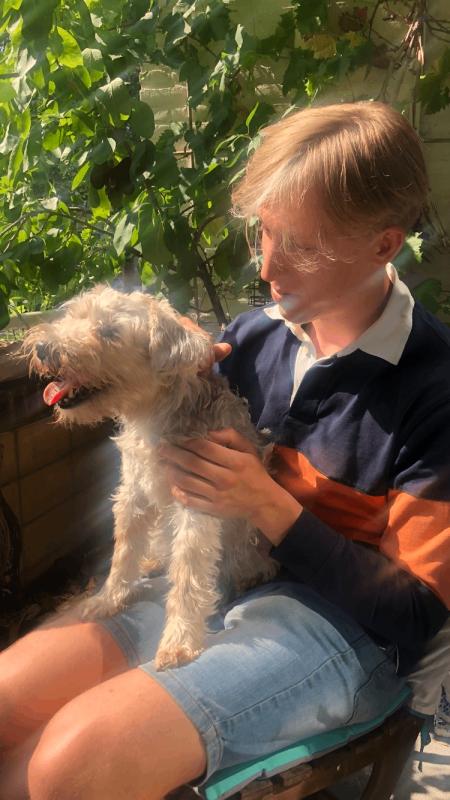 Bella Flappy Beethoven