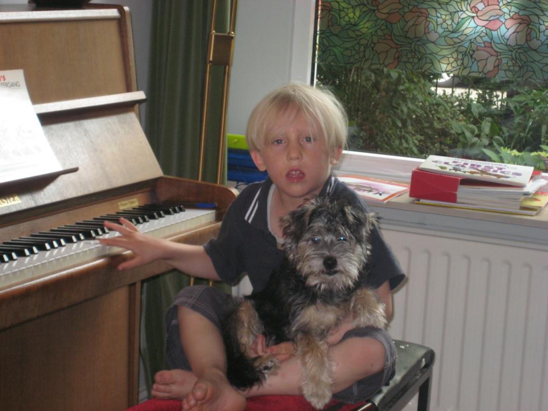 Bella Flappy Beethoven