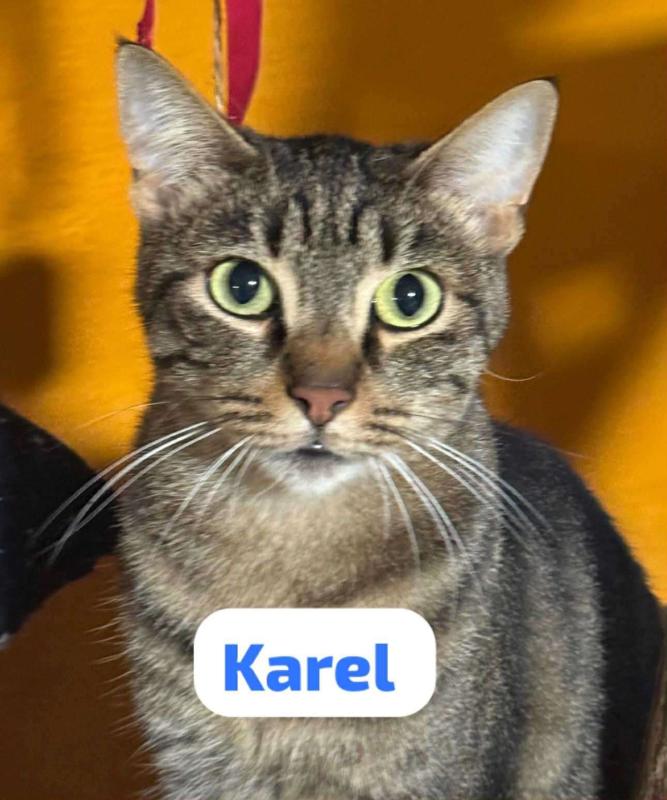 Karel