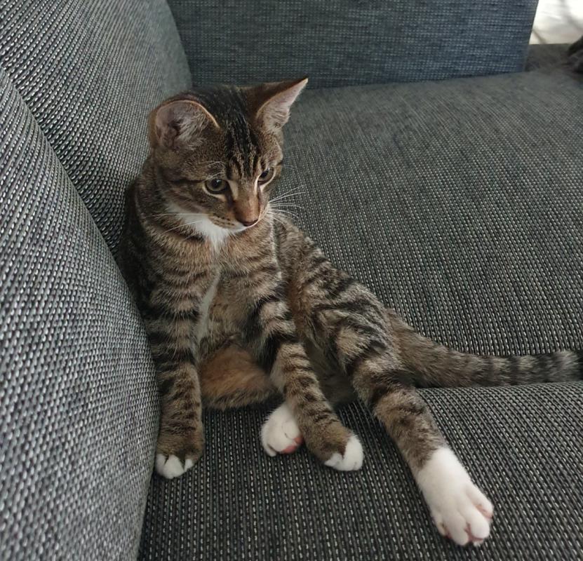 Charlie