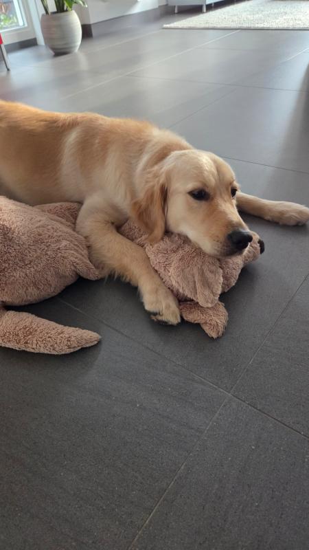 Rosie