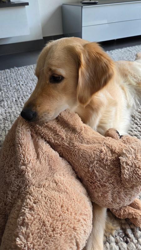 Rosie