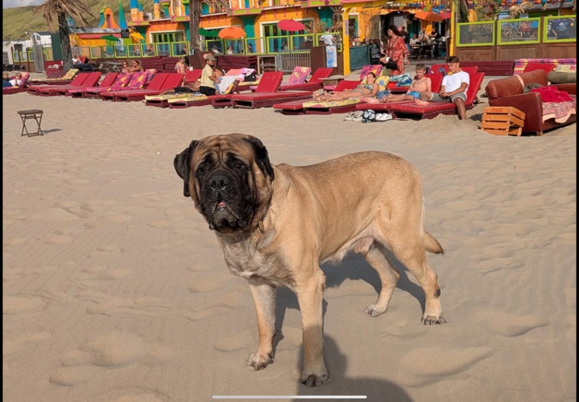 *SPOED* Kronos & Kaghan