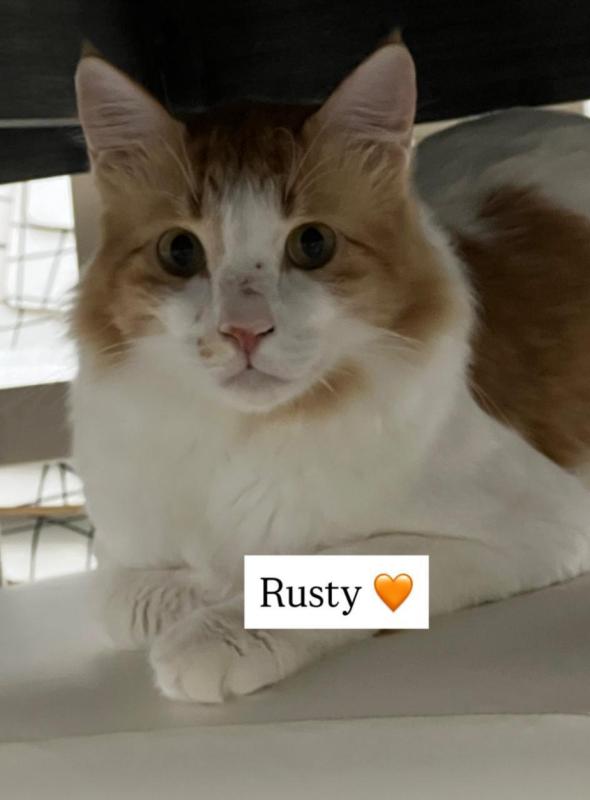Rusty
