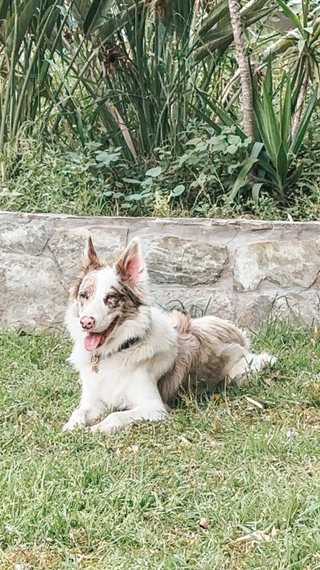 Cooper