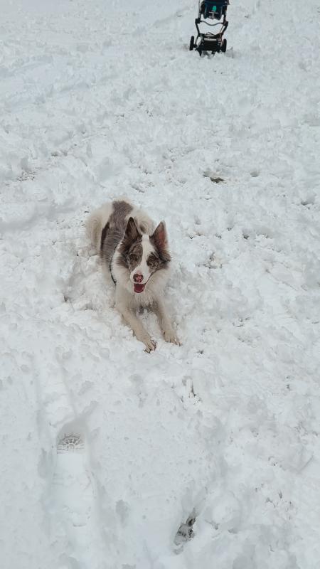 Cooper
