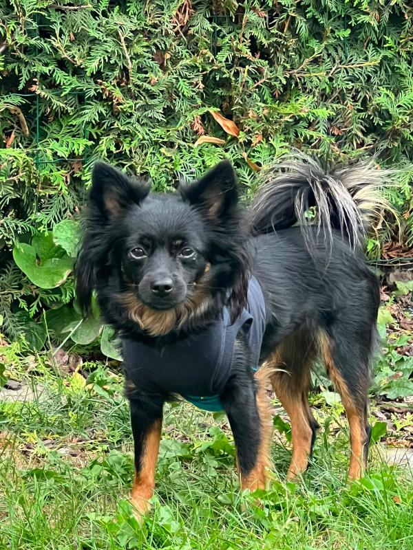 Coco