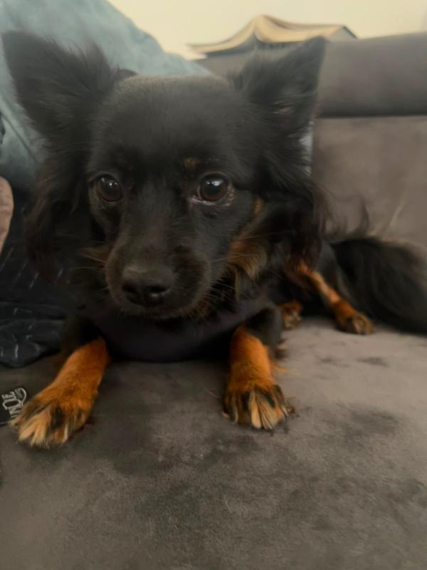 Coco