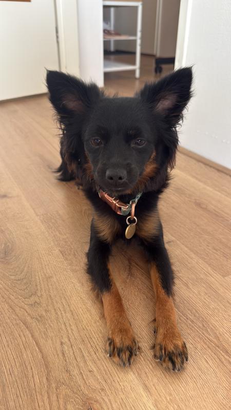 Coco